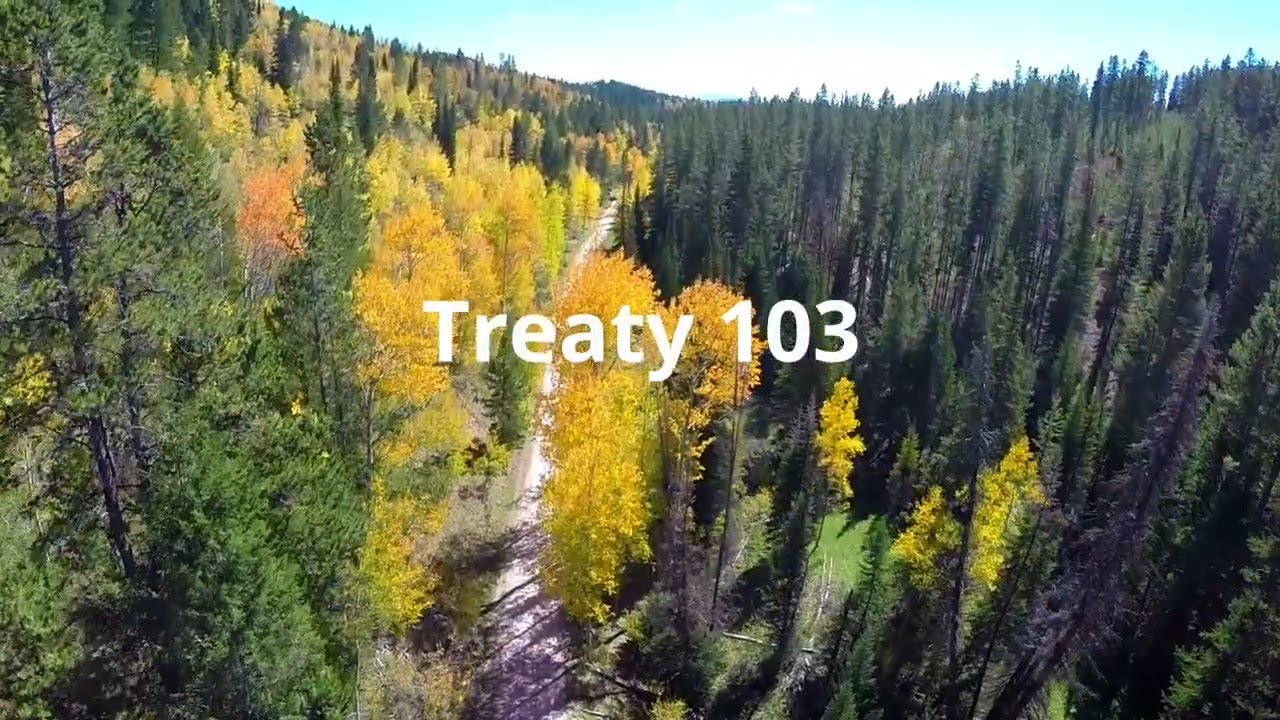 s02.e03. Treaty 103: Negotiation and Implementation