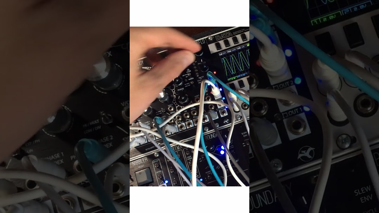BTFLD-Feedbackst&ouml;rung #eurorack #synth #modularsynth #electronicmusic