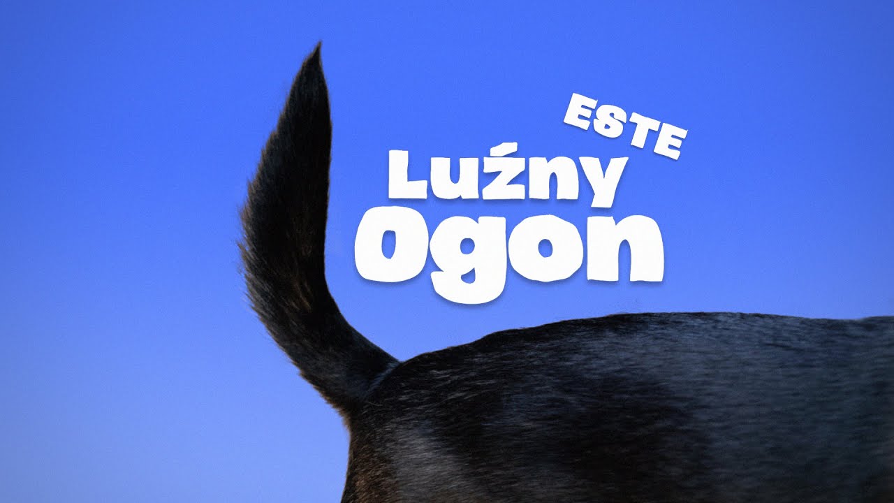 ESTE - Luźny Ogon