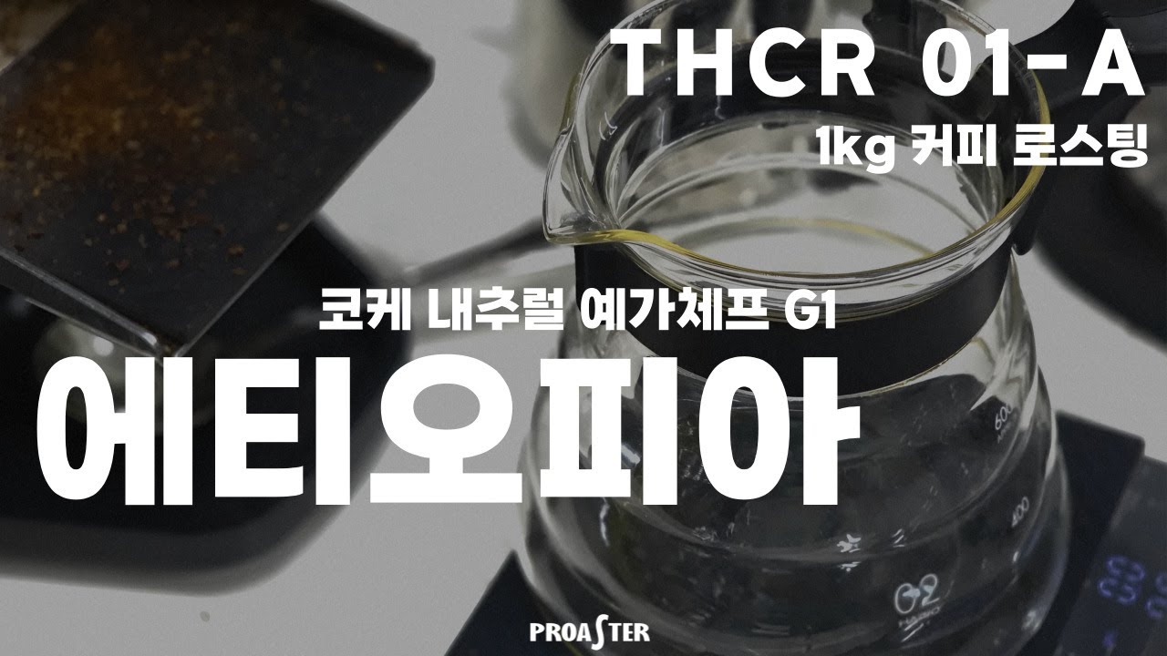 커피로스팅ㅣ에티오피아 생두 1kgㅣTHCR 01-A