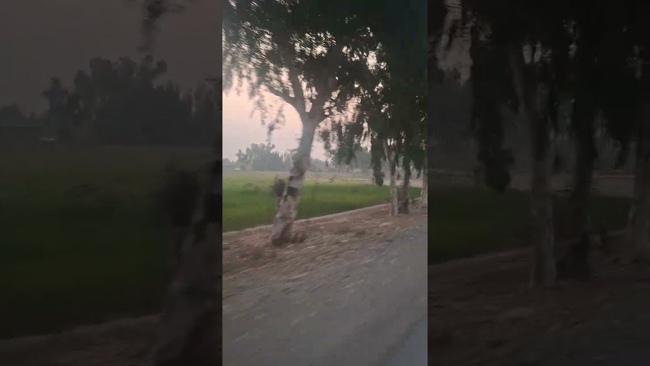 Early morning ride