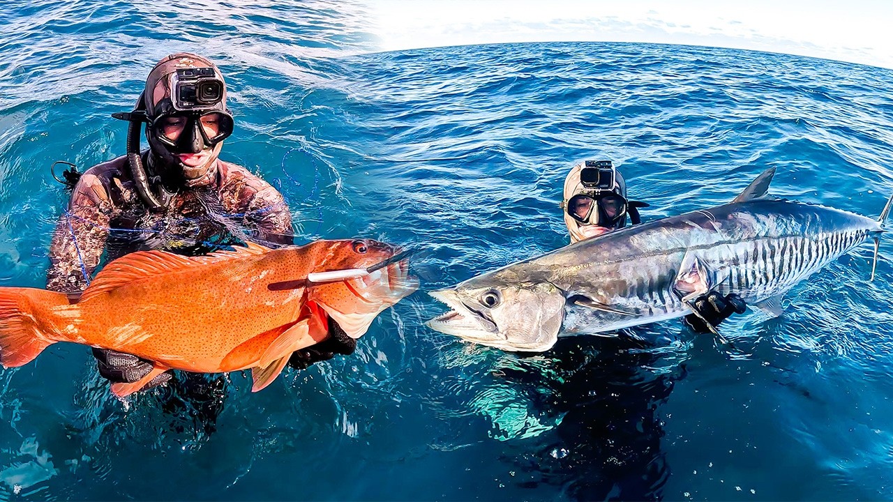 INSANE Reef Spearfishing Australia