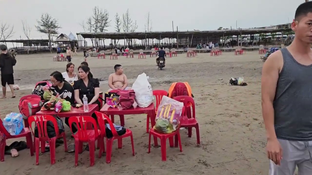 Biển Cồn Vành Tiền Hải Thái Bình