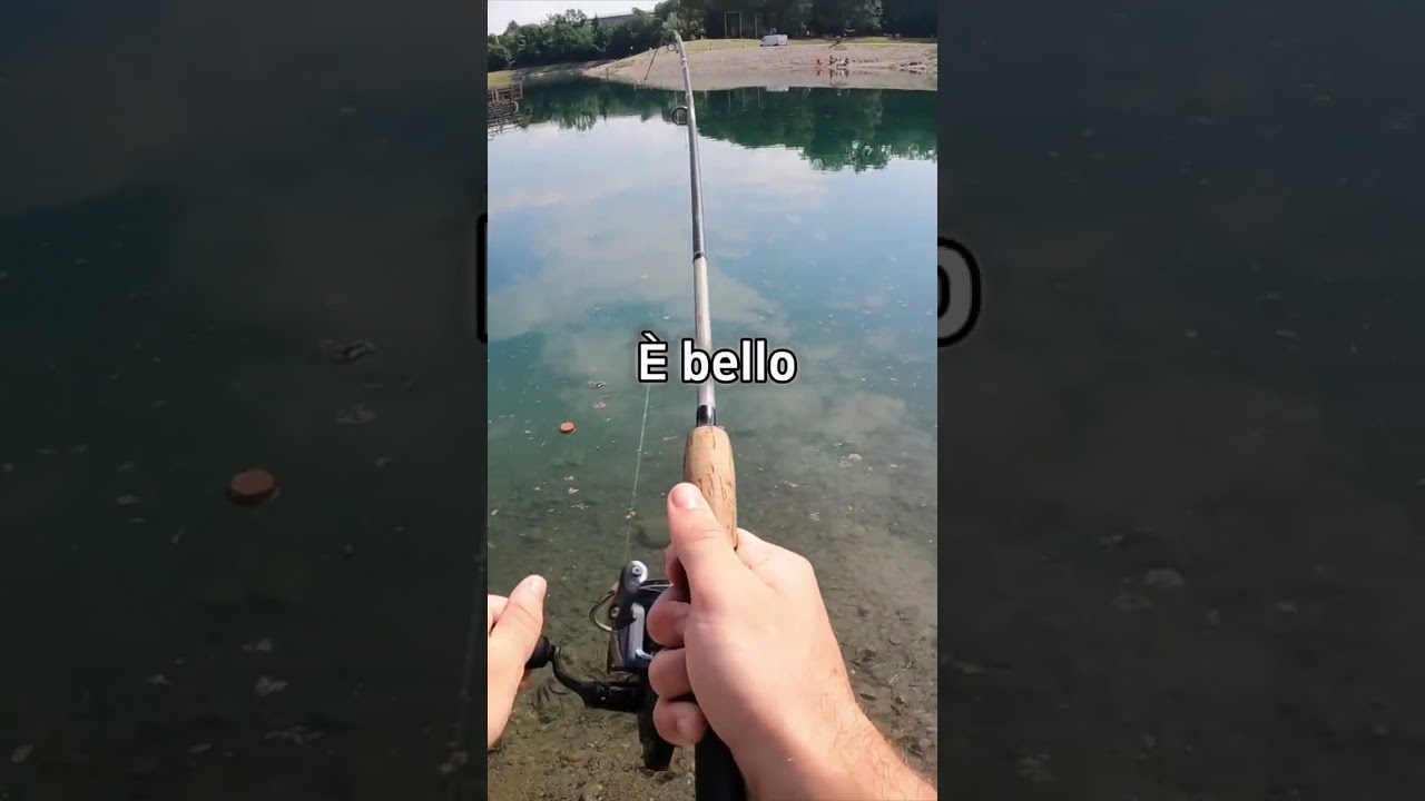 Mangiata Trota a Spinning!!! 🎣 #shorts #fishing #spinning