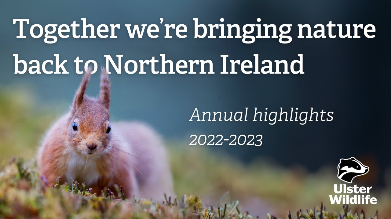 Ulster Wildlife Annual Highlights for Nature 2022-2023