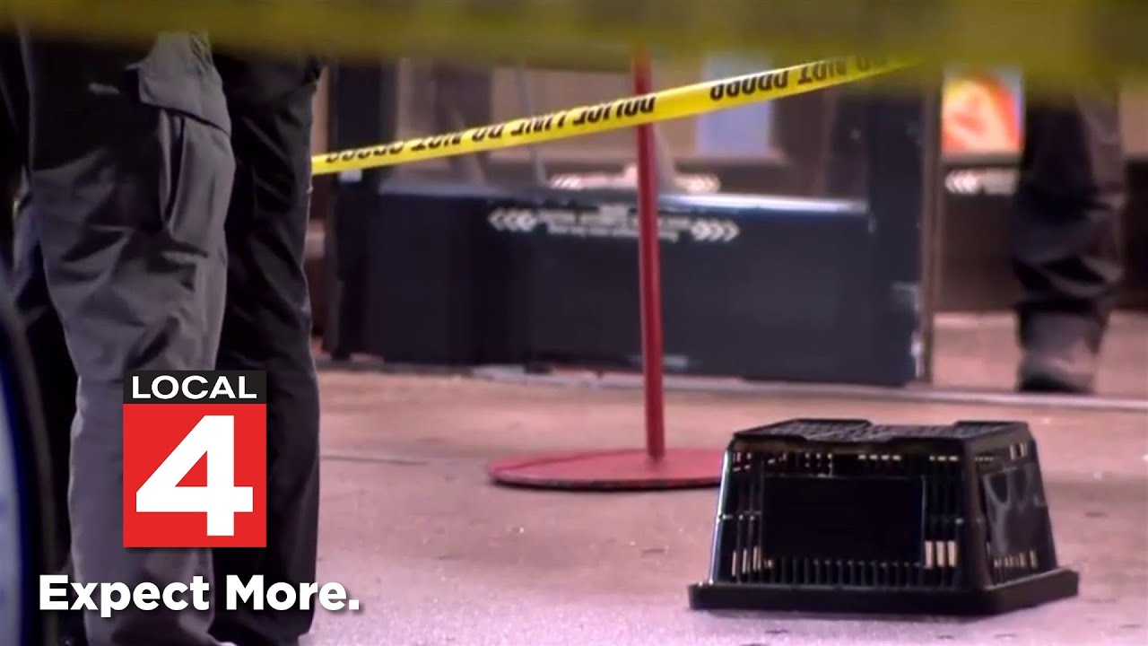 Local 4 News at 5 -- Dec. 22, 2025