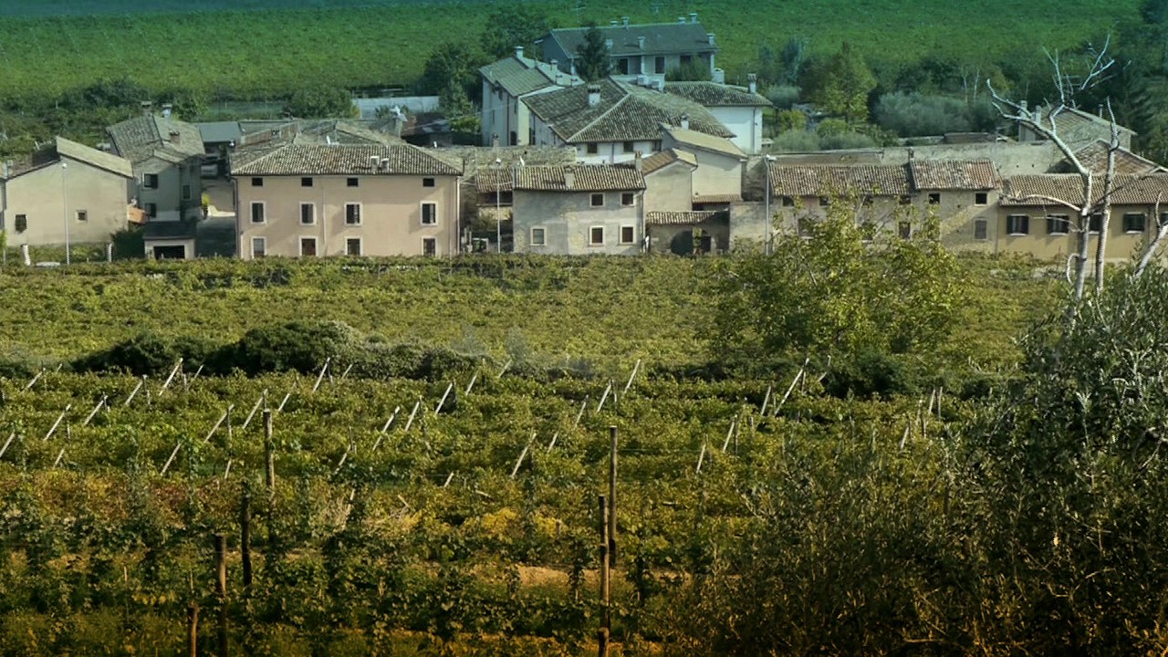 Discover Valpolicella DOC | Découvrez Valpolicella DOC