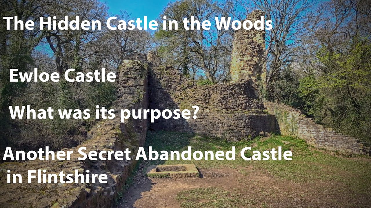 The hidden castle in dense woodland - Ewloe Castle
