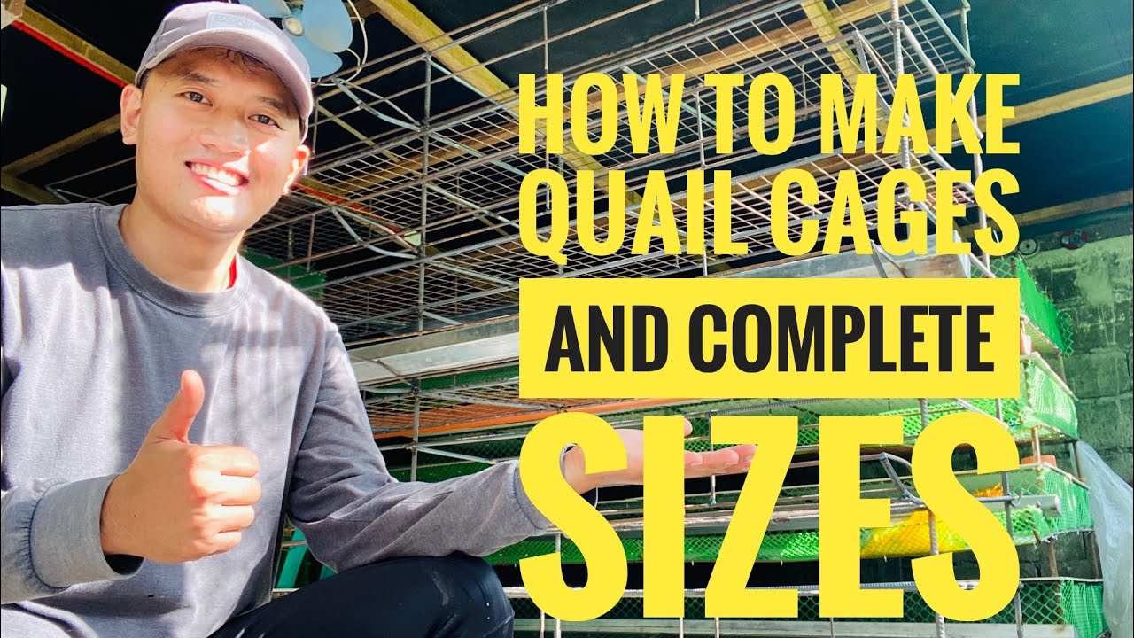 Easy way to build a Quail cage, (madaling paraan ng paggawa ng kulungan ng mga PUGO):Part 2