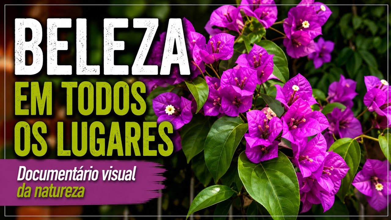 NATUREZA 2 • Fotografias da natureza • Hiking • Trilha • Caminhada • Preservação • Flores • Floresta