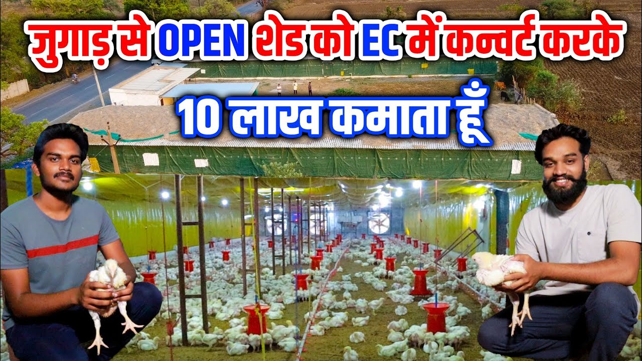 जुगाड़ से Open Poultry Shed को Ec Poultry Shed में कनवर्ट करके 