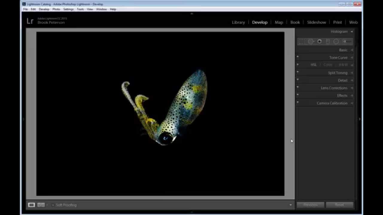 How to Remove Backscatter using Adobe Lightroom
