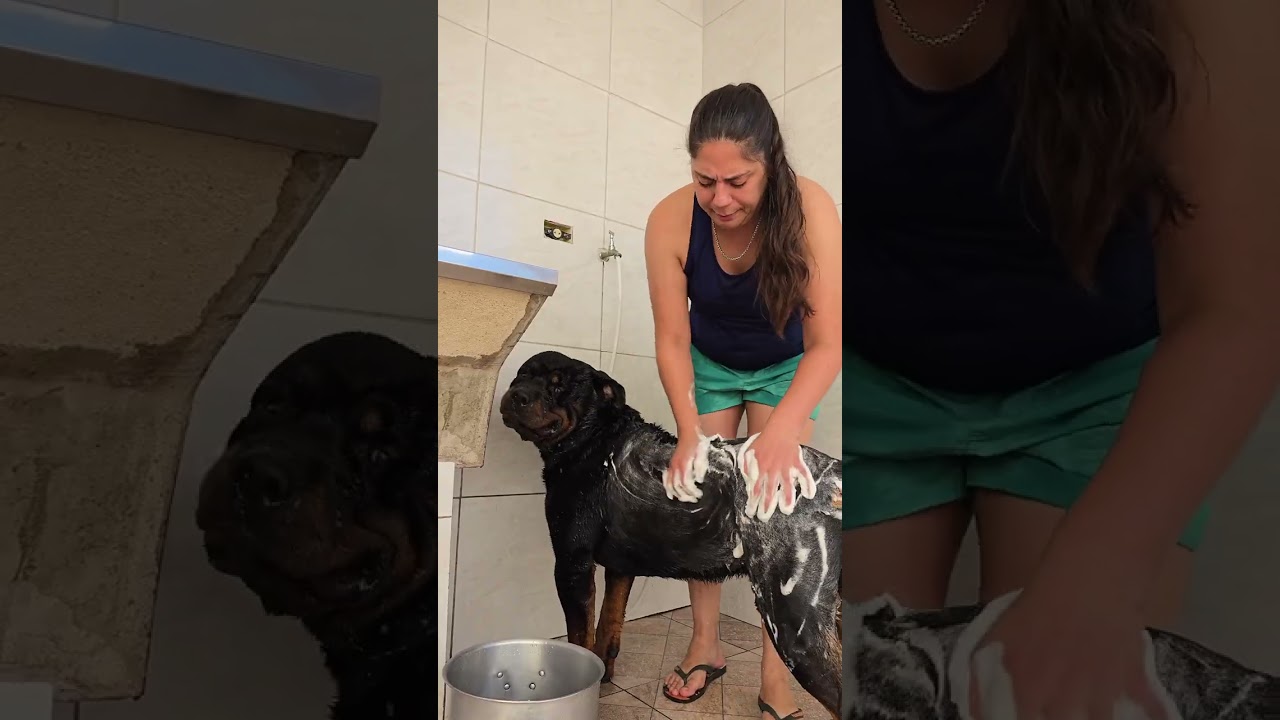 Hora do banho 🛁 
