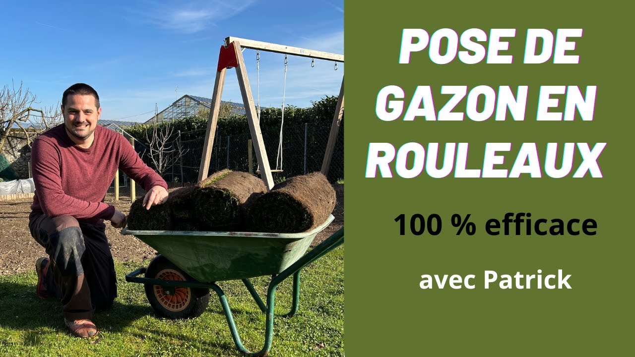 Comment Poser un Gazon en Rouleau : Guide Pratique pour un jardin réussi !