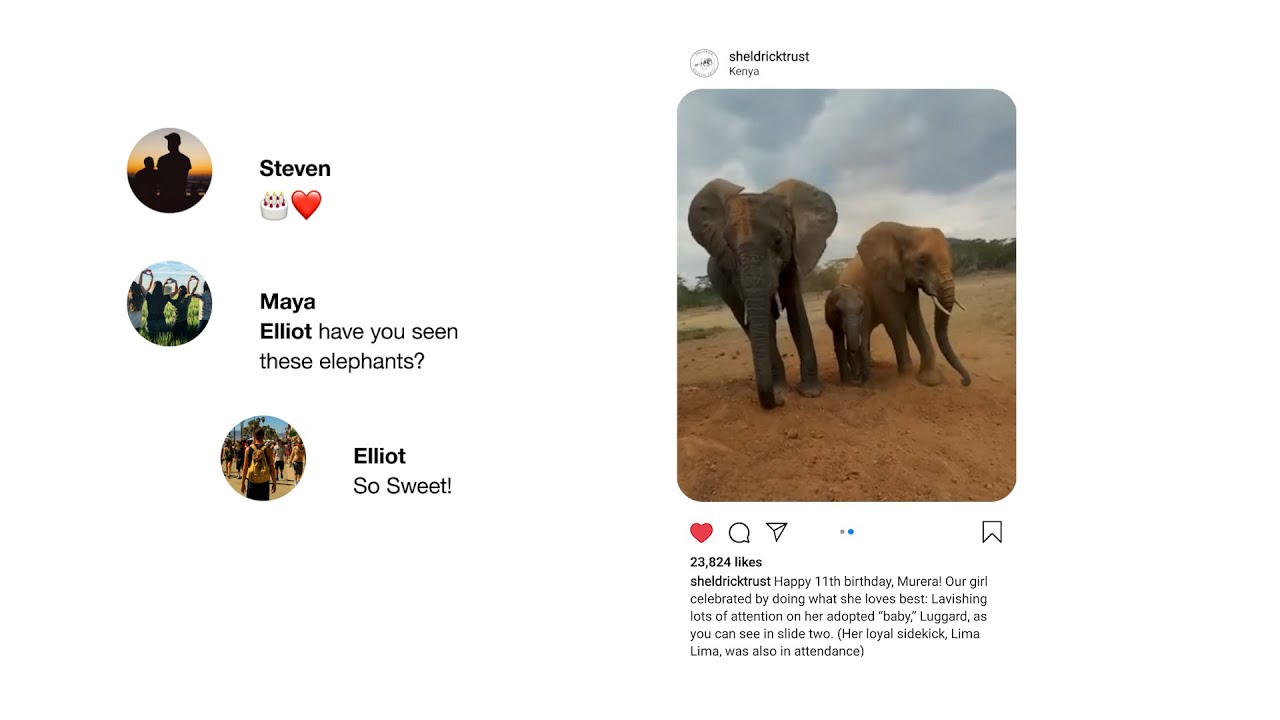 Sheldrick Wildlife Trust - Instagram - Community Voices
