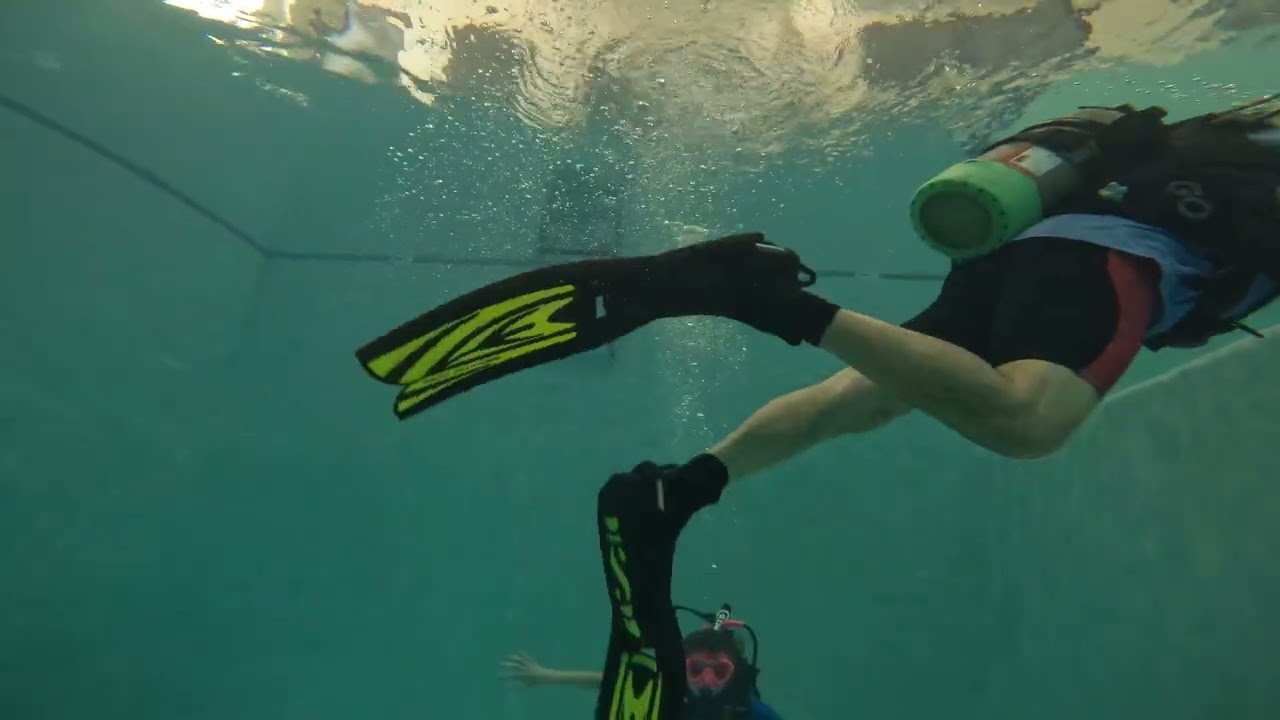 Try Dive Aug. 2025
