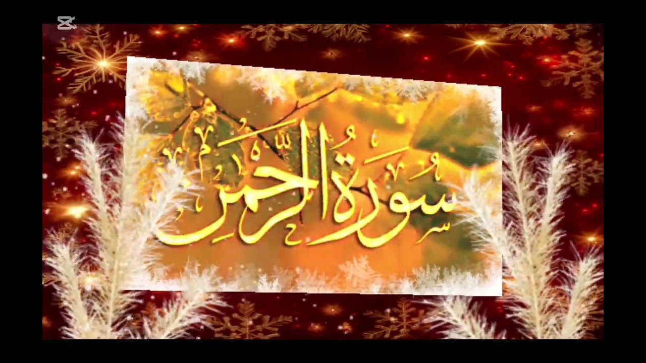 Beautiful surah Rahman by The daily recite | Surah Rahman recite | Surah Al Rahman 