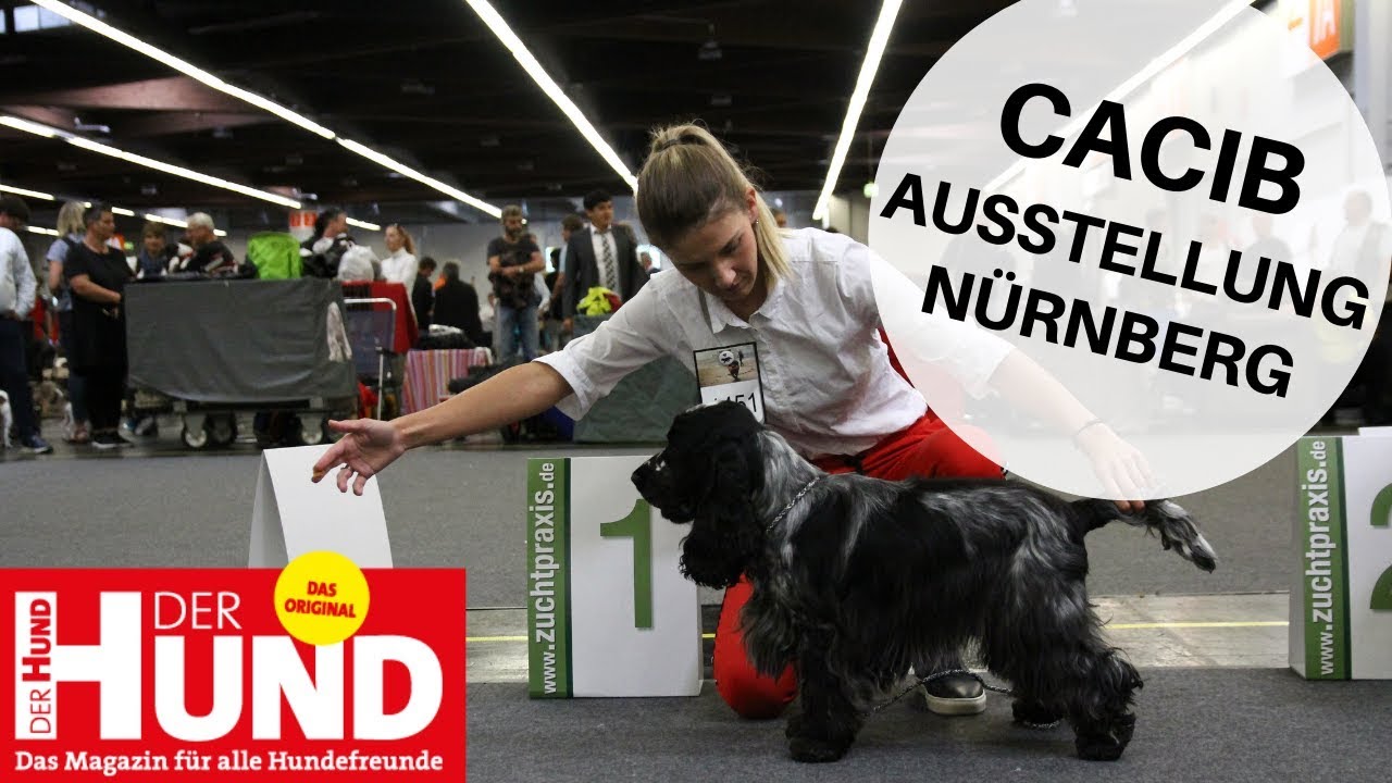 Unterwegs auf der CACIB Hundeausstellung in N&uuml;rnberg