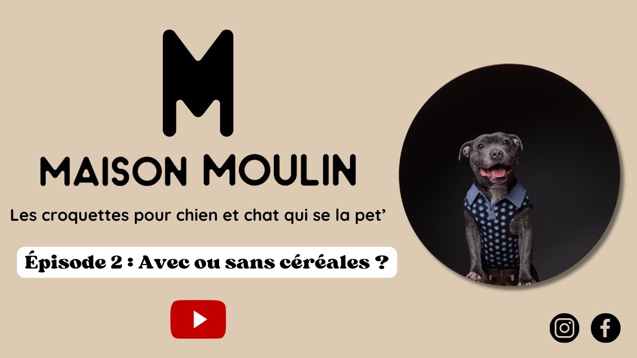 Episode 2 : Des croquettes AVEC ou SANS céréales ?