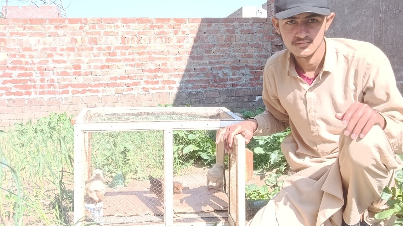 Aaj chuzu ko khaat ma la gya | full enjoyment 😀