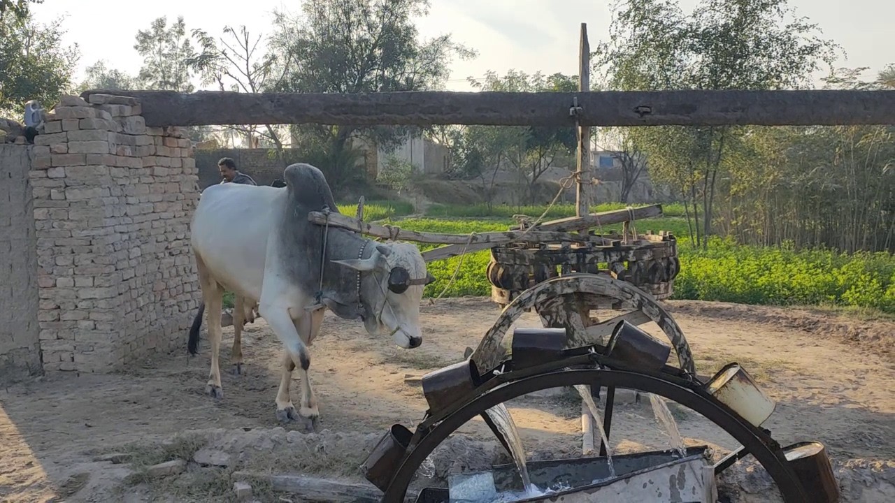 Unseen Beautiful Village Life Stunning Rural Culture Compilation 2026 Must Watch