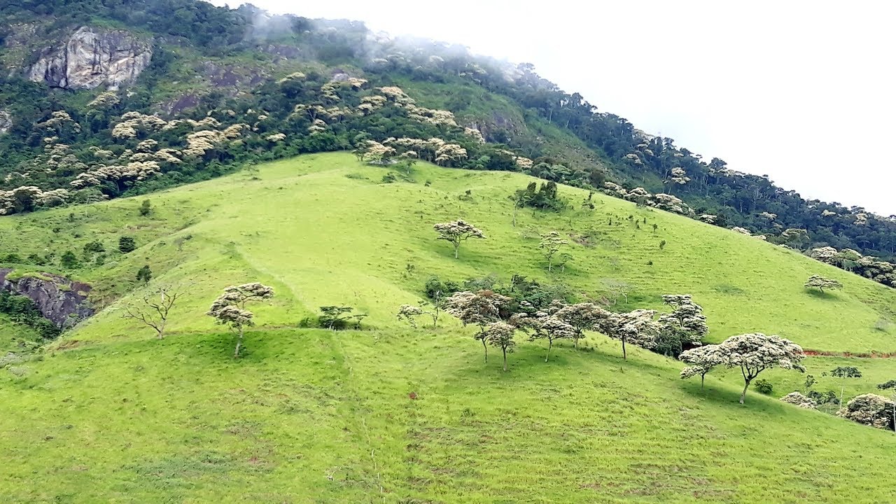 🔵 Paisagem Rural pelo Vale do Caf&eacute; - RJ