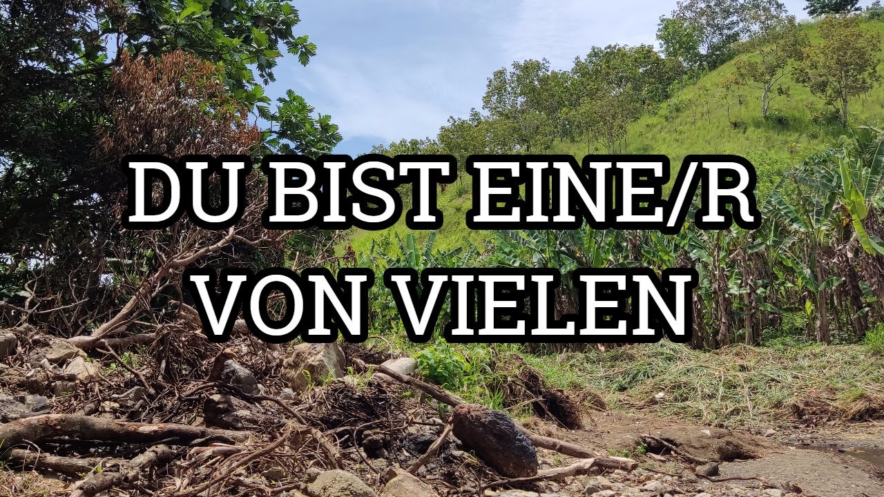 Die [Menschensammlung] des Narzissten..