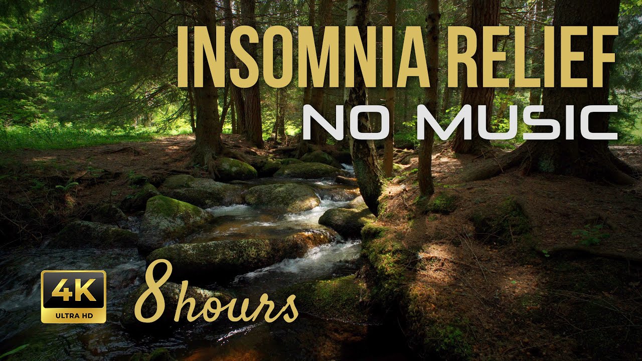 8 hours Deep Sleep (No Music): Deep Woods Water Sounds |  Forest Ambience