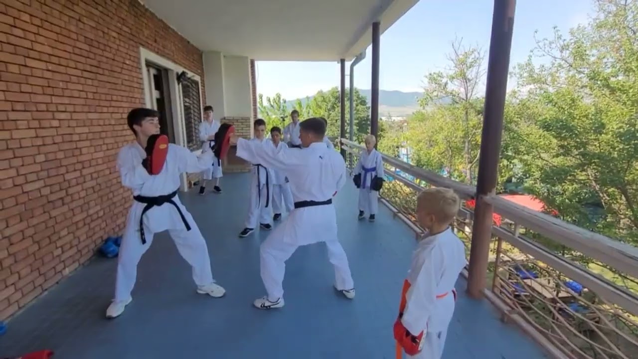 Karate Club "SEIMEI": 1-st Summer Camp