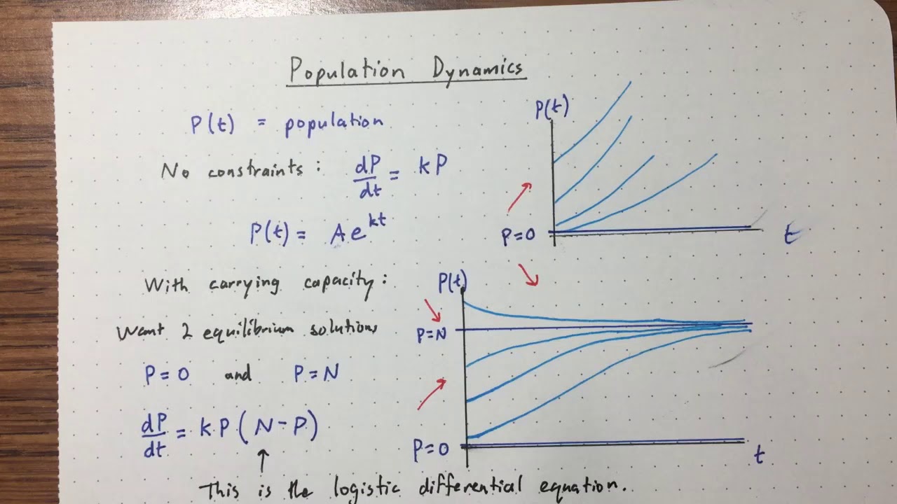 Lecture 11 - Population Dynamics