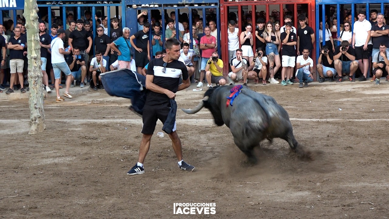 Toros de Victorino Martín, El Pilar, Domínguez Camacho y El Val