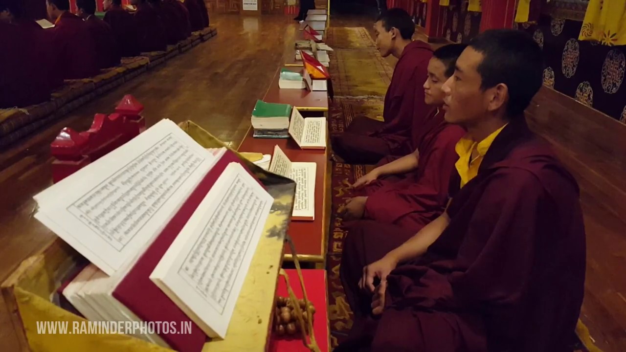 Monks of Sherabling | Experience the Evening prayers at Buddhist Sherabling Monastery | Bir Billing