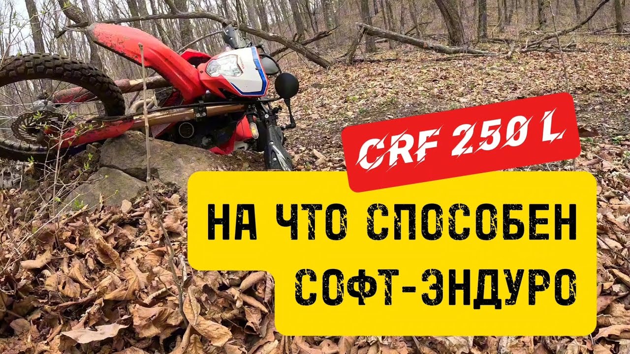 HONDA CRF250L, или на что способен СОФТ-ЭНДУРО/дуал-спорт в лесу