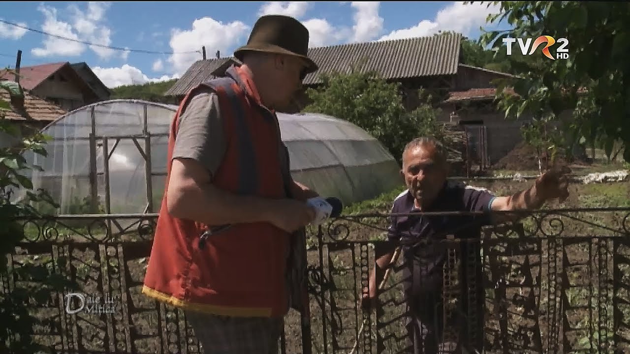 Țara de lapte și miere