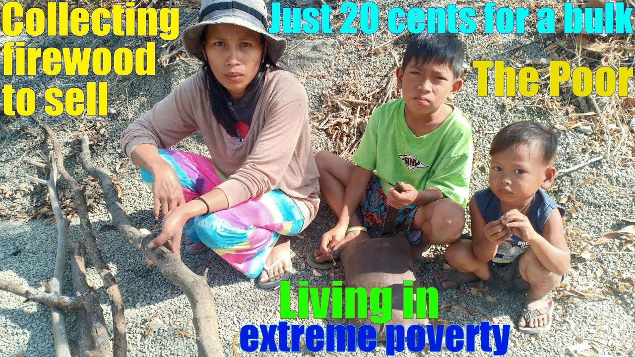 The Filipino Family that Collects Firewood to Sell for 20 Cents. Filipinos in Poverty in Philippines