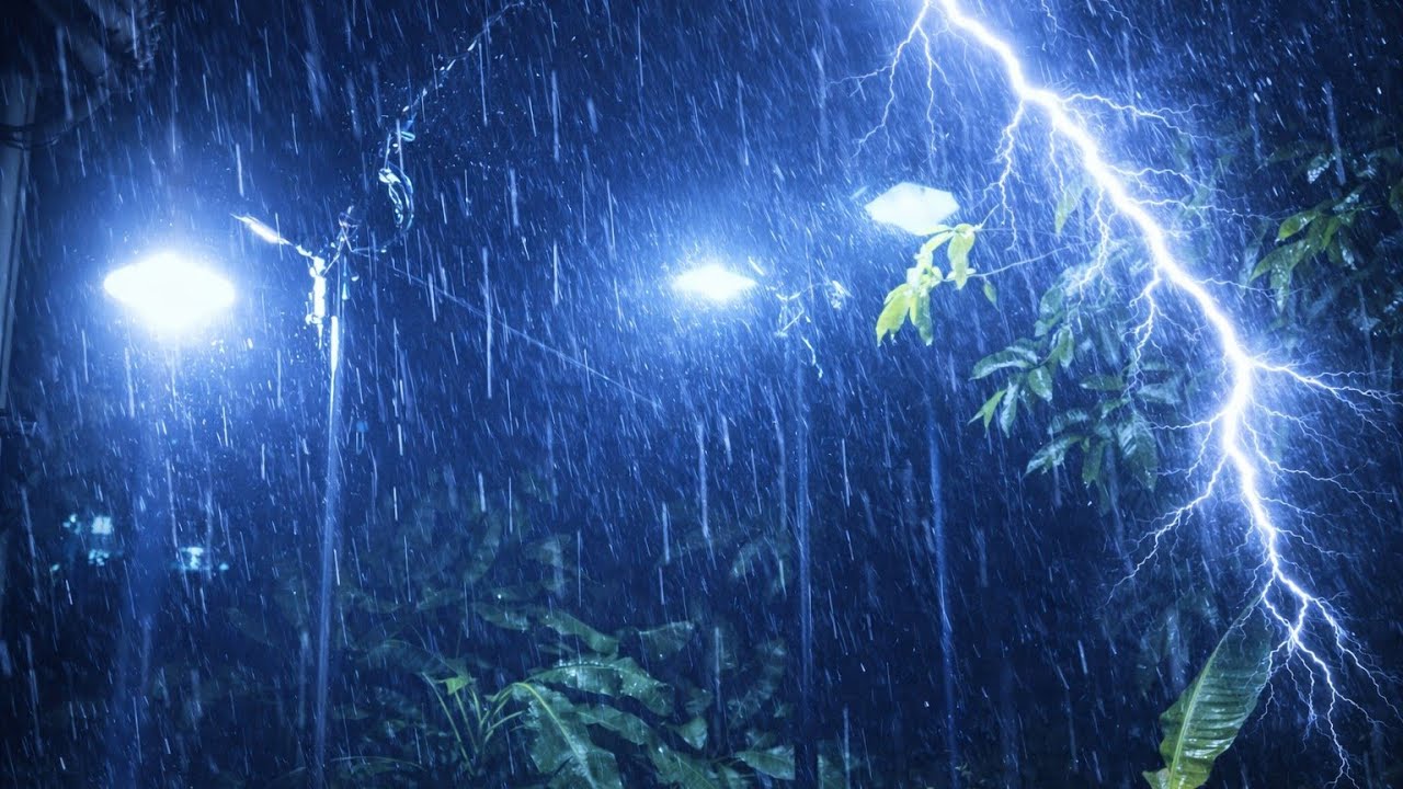 Go to Sleep with Heavy Rain in Forest at Night: Rain Sound for Sleeping Disorders, Sleeping Problems