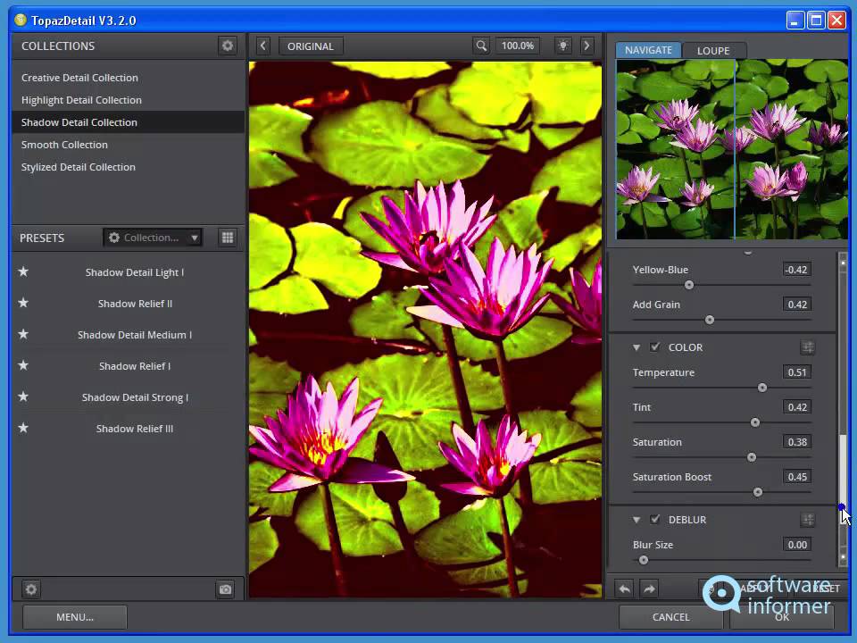How to use Topaz Detail
