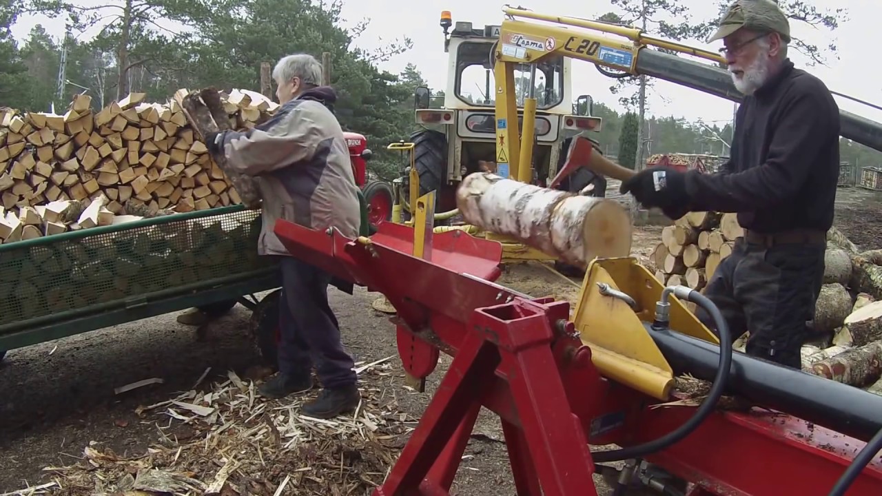 Splitting firewood 60 cm.  In Norway