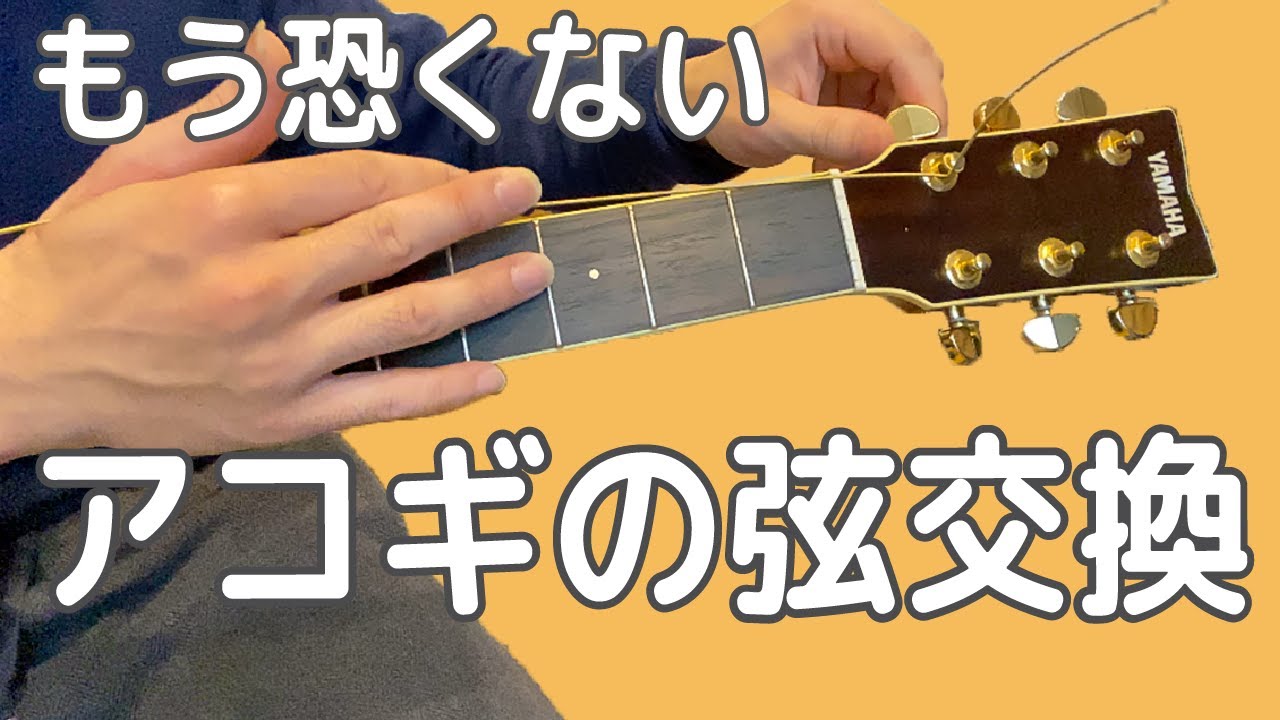 アコギの弦交換のやり方【弦の選び方から徹底解説】