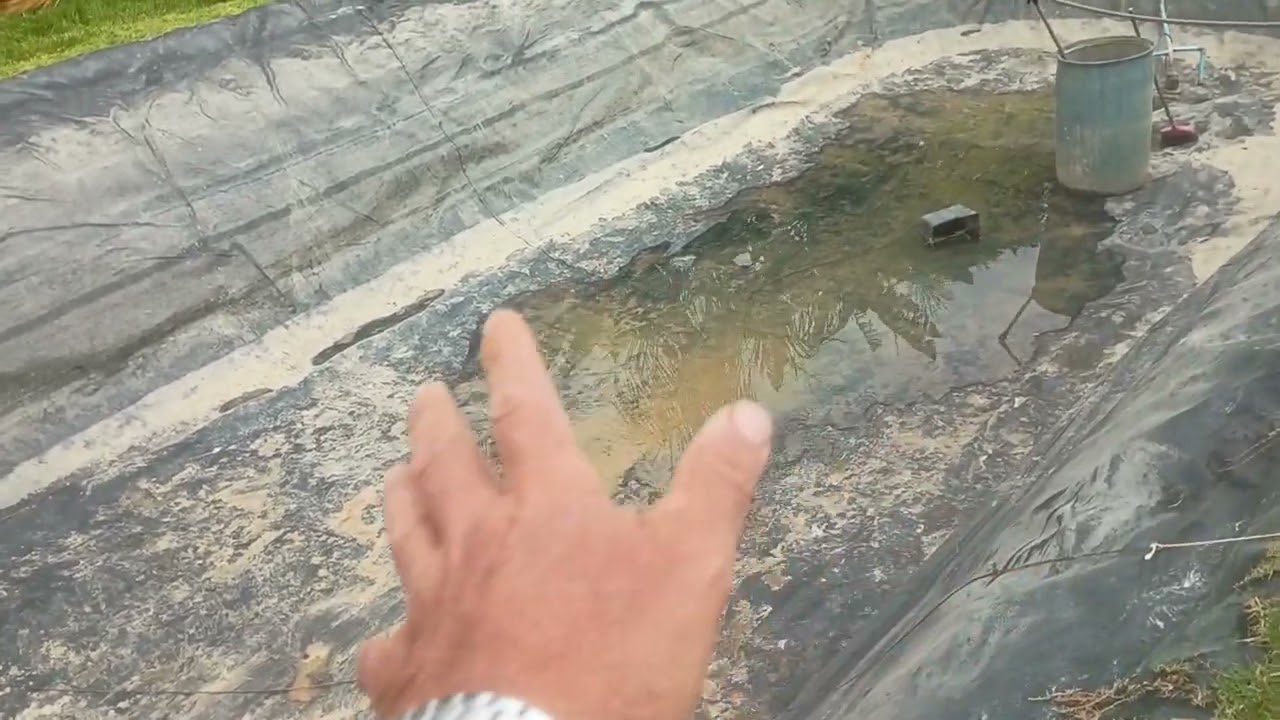 Zeca, feliz com a saúde dos peixes 