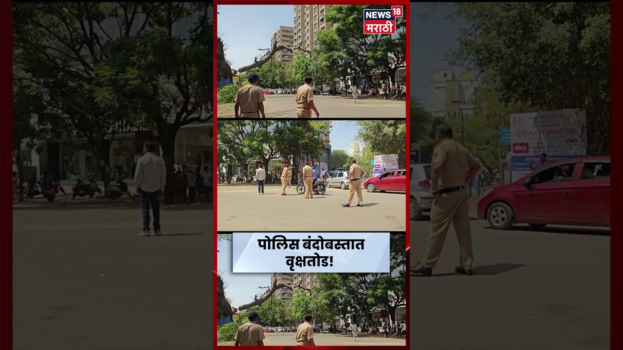 Nashik News | वृक्षतोडीवर स्थगिती; EXCLUSIVE VIDEO समोर | N18V| Marathi News