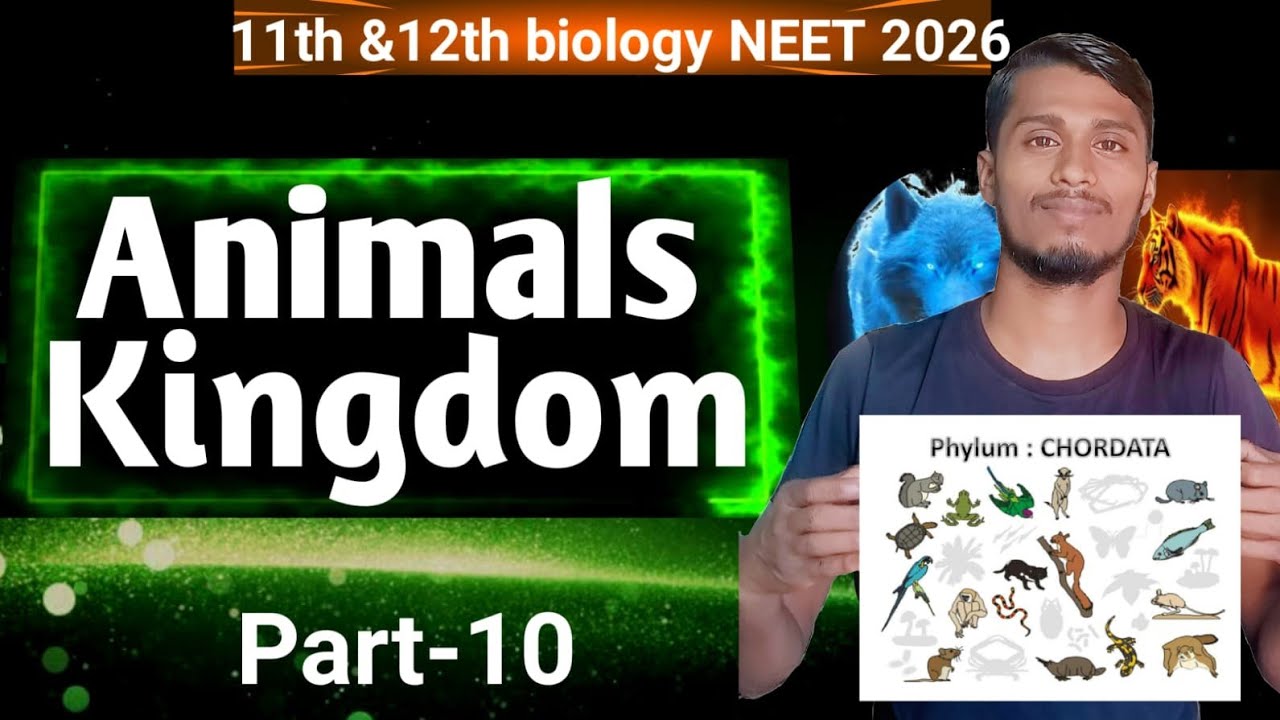 Chordata #11 | 11th and 12th Biology | NEET 2026 full concept | BY-PANKAJ KASHYAP 