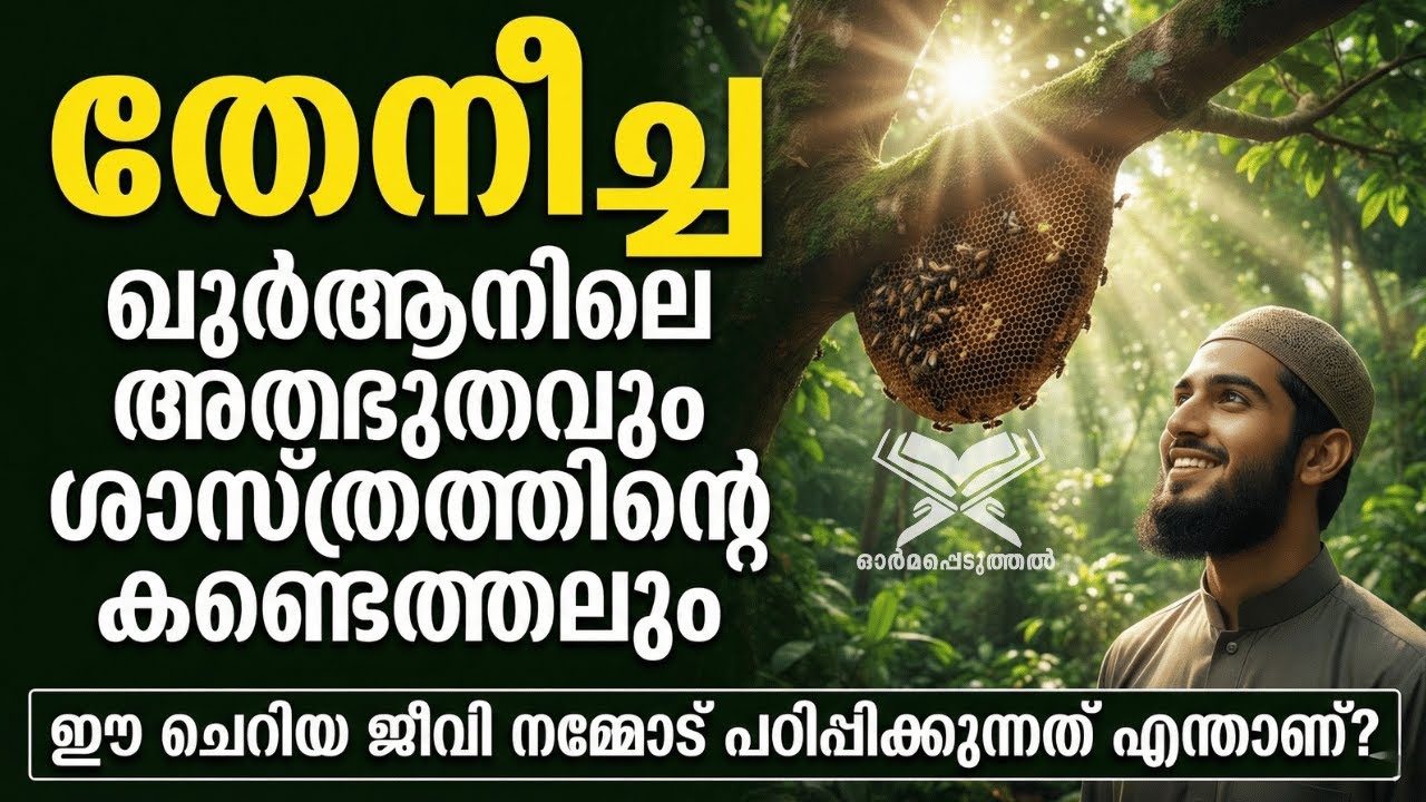തേനീച്ചയെക്കുറിച്ച് Quran എന്താണ് പറയുന്നത്? 1400 വർഷം മുൻപ് പ്രവചിച്ച Scientific miracles!