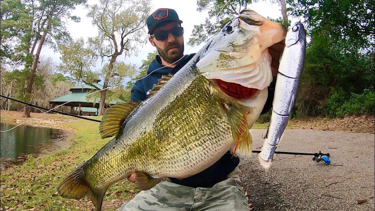 The most EPIC BASS CATCH of my LIFE!? (12 inch Swimbait)