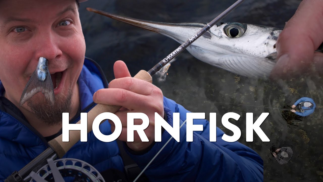 KYSTFISKERI MED JustFishing - Hornfisk - NAK OG ÆD STYLE