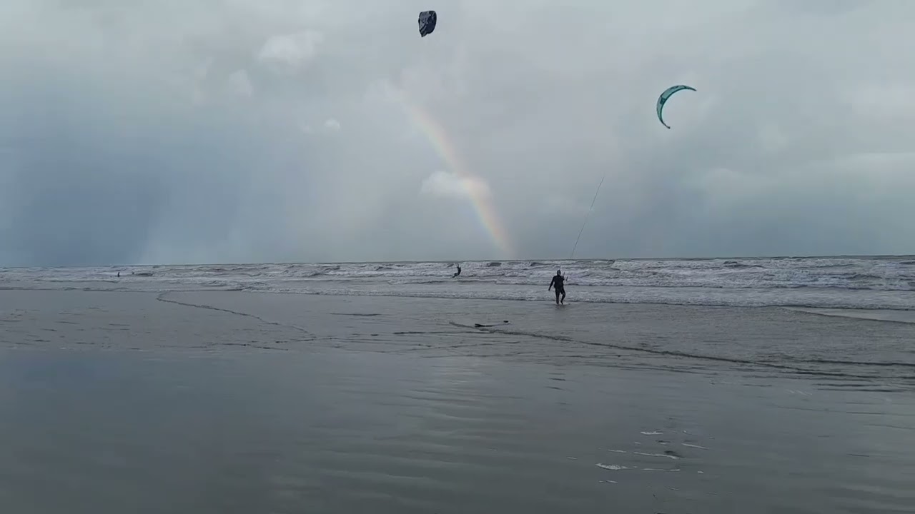O dia q a natureza foi generosa com a galera mágico quintal de casa...