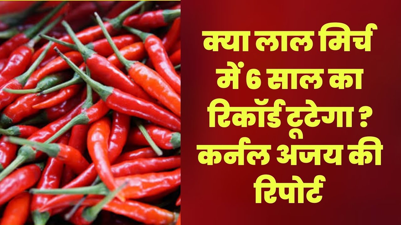 क्या लाल मिर्च में 6 साल का रिकॉर्ड टूटेगा ? कर्नल अजय की रिपोर्ट