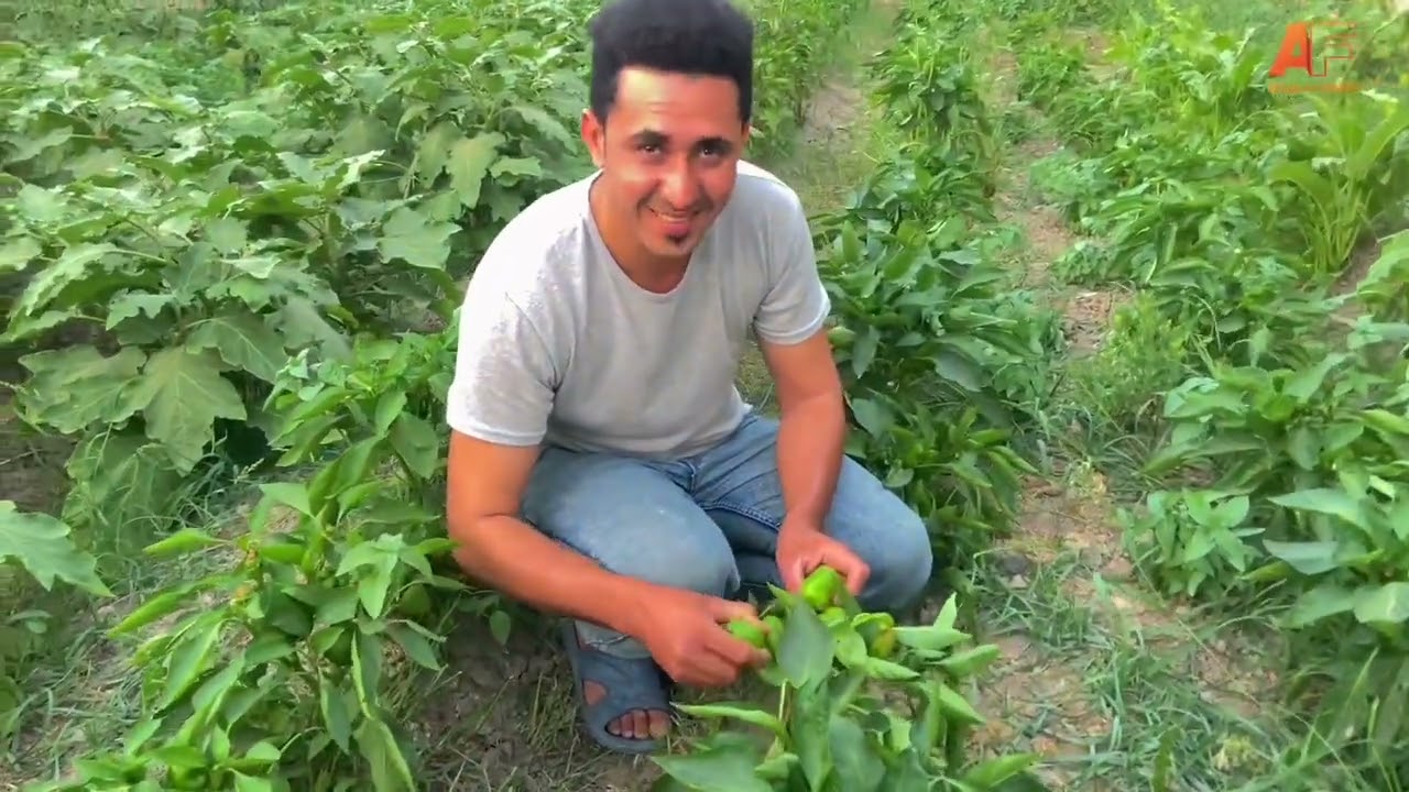 جولتنا ليوم في قلعة صالح منطقة المجريه
