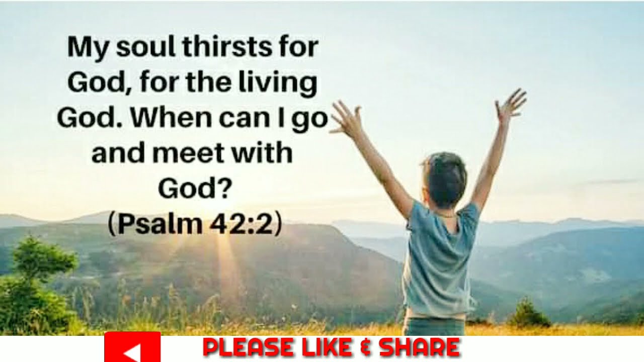 WE BORN TO WORSHIP