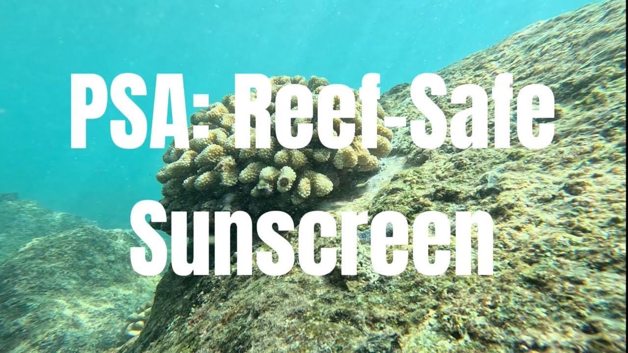 PSA: Reef-Safe Sunscreen
